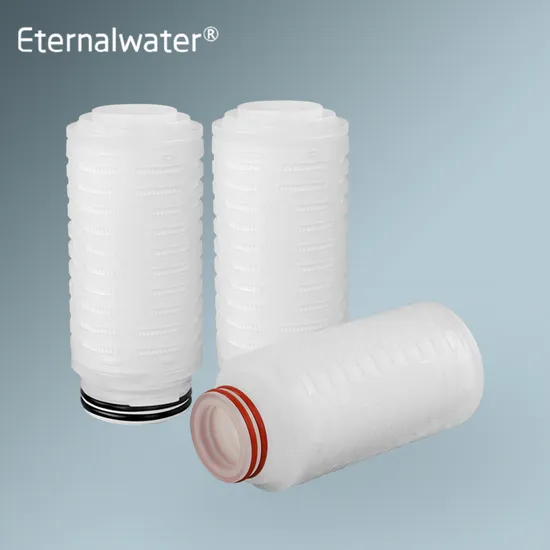 OEM PP/PTFE/Pes/PVDF Filter Cartridge for Liquid and Gas Filtration